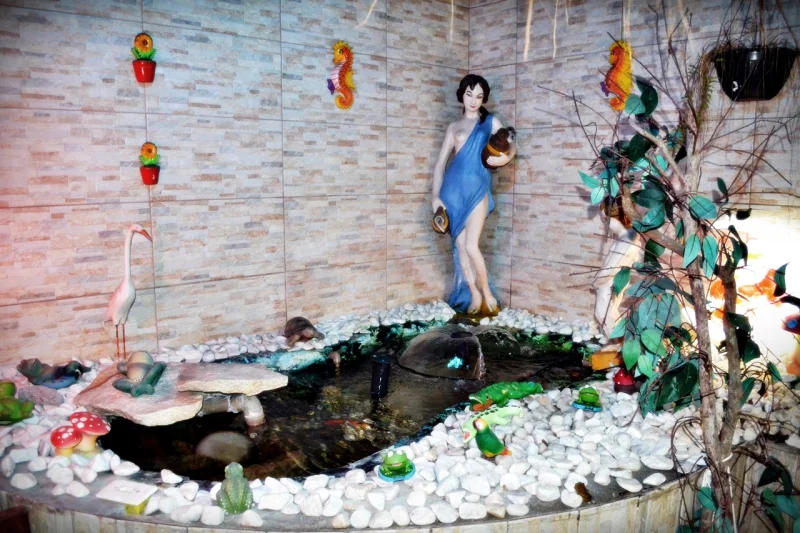 casa de repouso para idosos com demência