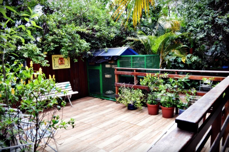 cuidador de idosos em Santo André